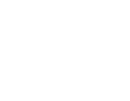 Ignite AI Solutions